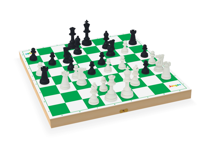 xadrezedamasfranca: Material Didático - Xadrez - Banner